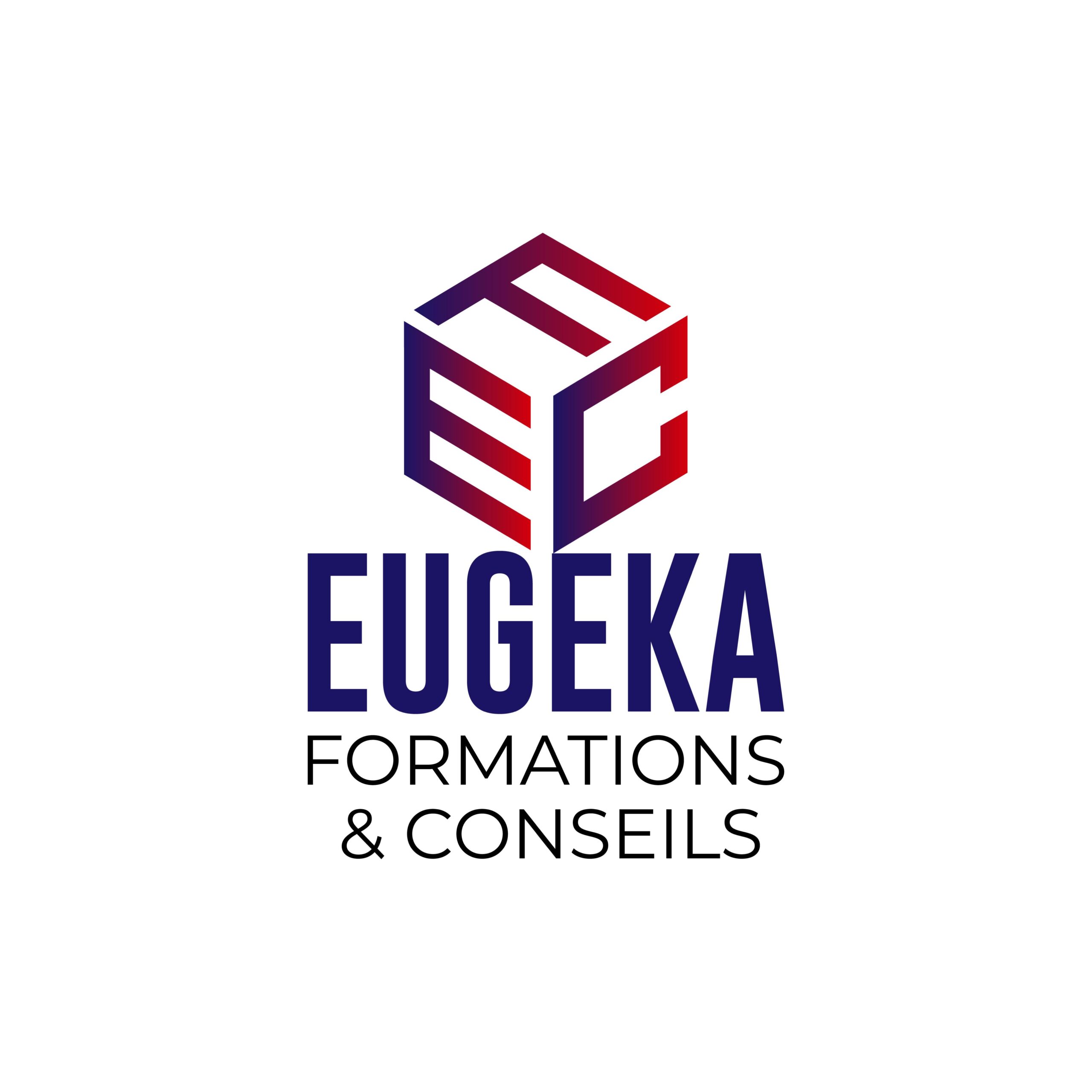efc-ci